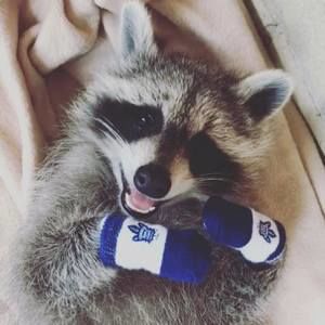 Meet your Posher, Darcey